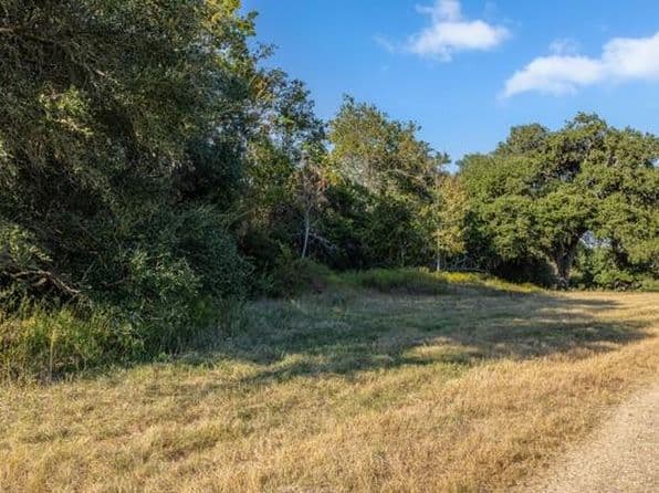 Drake Ln Lot 4, Round Top, TX 78954 thumbnail 5