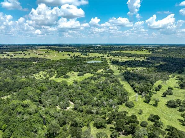 4900 Andreas Rd, Round Top, TX 78954 thumbnail 10