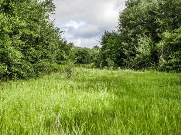 6 S Nassau Rd, Round Top, TX 78954