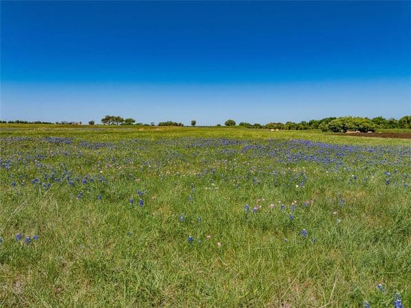 W Fm 1291 Tract 4, Round Top, TX 78954 thumbnail 9