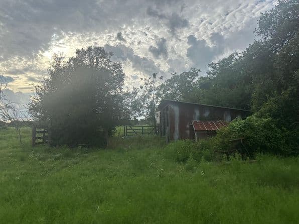 8616 Schuster Rd, Round Top, TX 78954 thumbnail 9