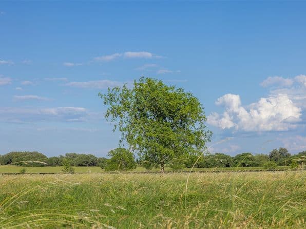 5019 Hartfield Rd Tract 8, Round Top, TX 78954 thumbnail 6