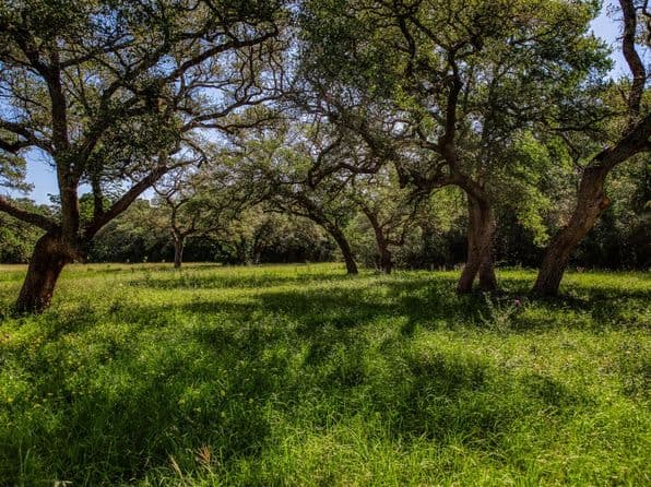 330 N Nassau Rd, Round Top, TX 78954 thumbnail 3