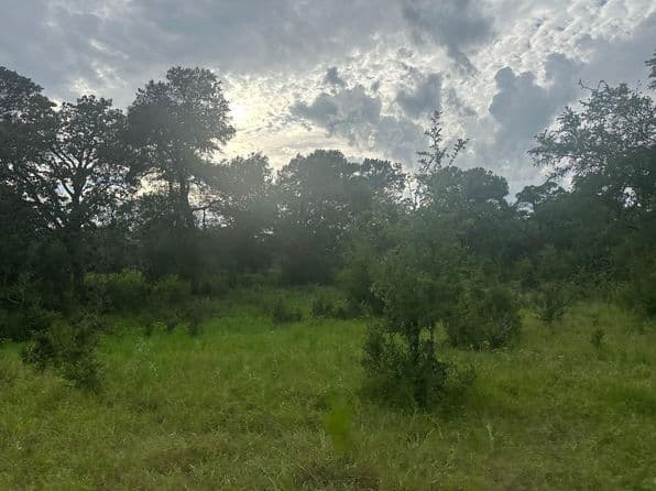 8616 Schuster Rd, Round Top, TX 78954 thumbnail 5