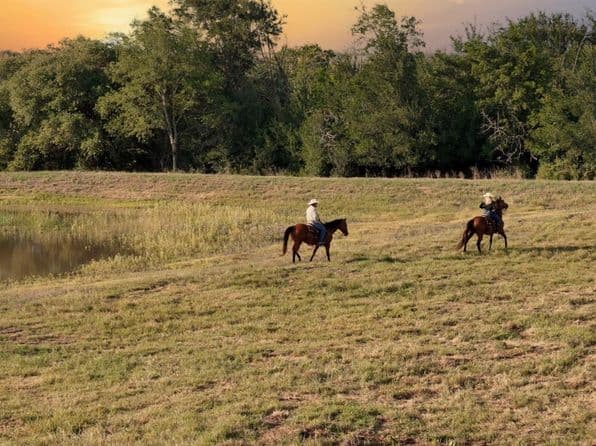 2 Round Top Farms Dr Lot A, Round Top, TX 78954 thumbnail 10