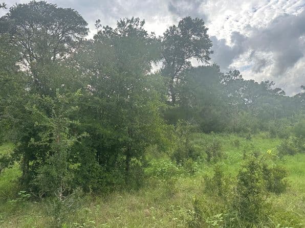 8616 Schuster Rd, Round Top, TX 78954 thumbnail 7