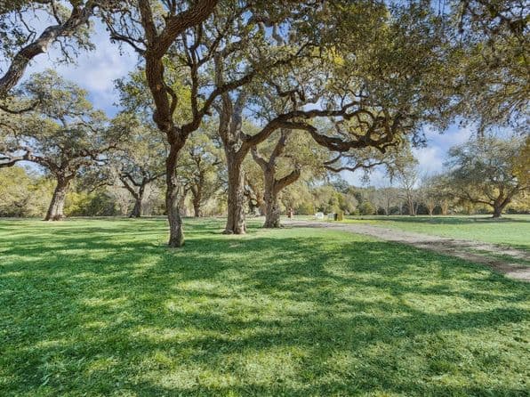 509 N Live Oak St, Round Top, TX 78954 thumbnail 6