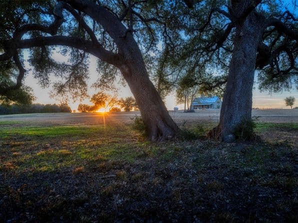 3748 Fm 1457, Round Top, TX 78954 thumbnail 2