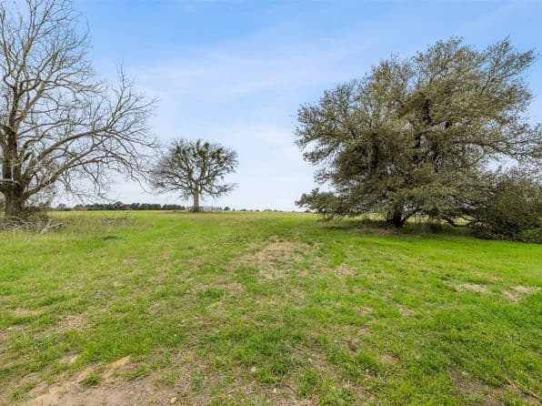 108 Turney Trce, Round Top, TX 78954 thumbnail 3