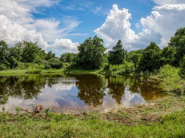 3420 Rohde Rd, Round Top, TX 78954 thumbnail 9