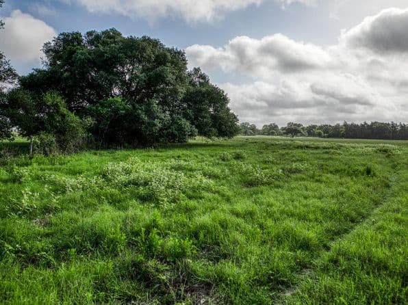 2 S Nassau Rd, Round Top, TX 78954 thumbnail 8