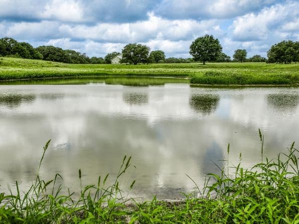 12 S Nassau Rd, Round Top, TX 78954