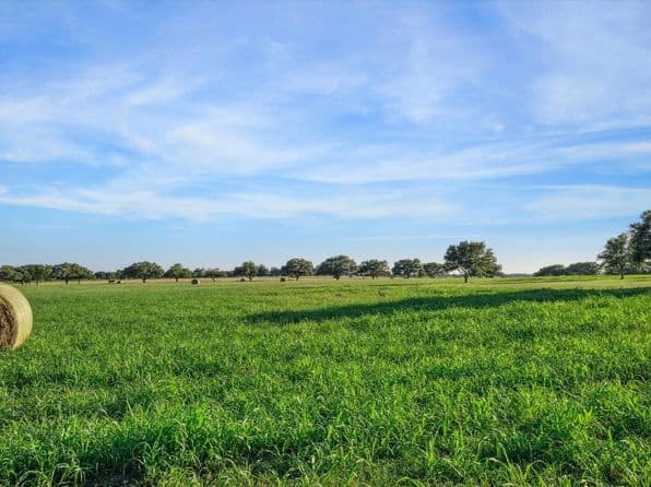 2817 Leonhardt Rd, Round Top, TX 78954 thumbnail 3