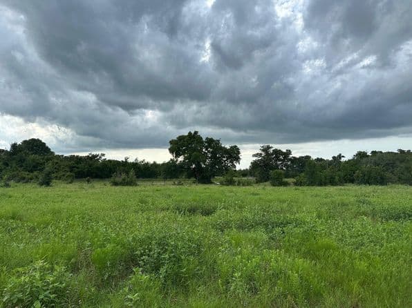 8616 Schuster Rd, Round Top, TX 78954 thumbnail 2