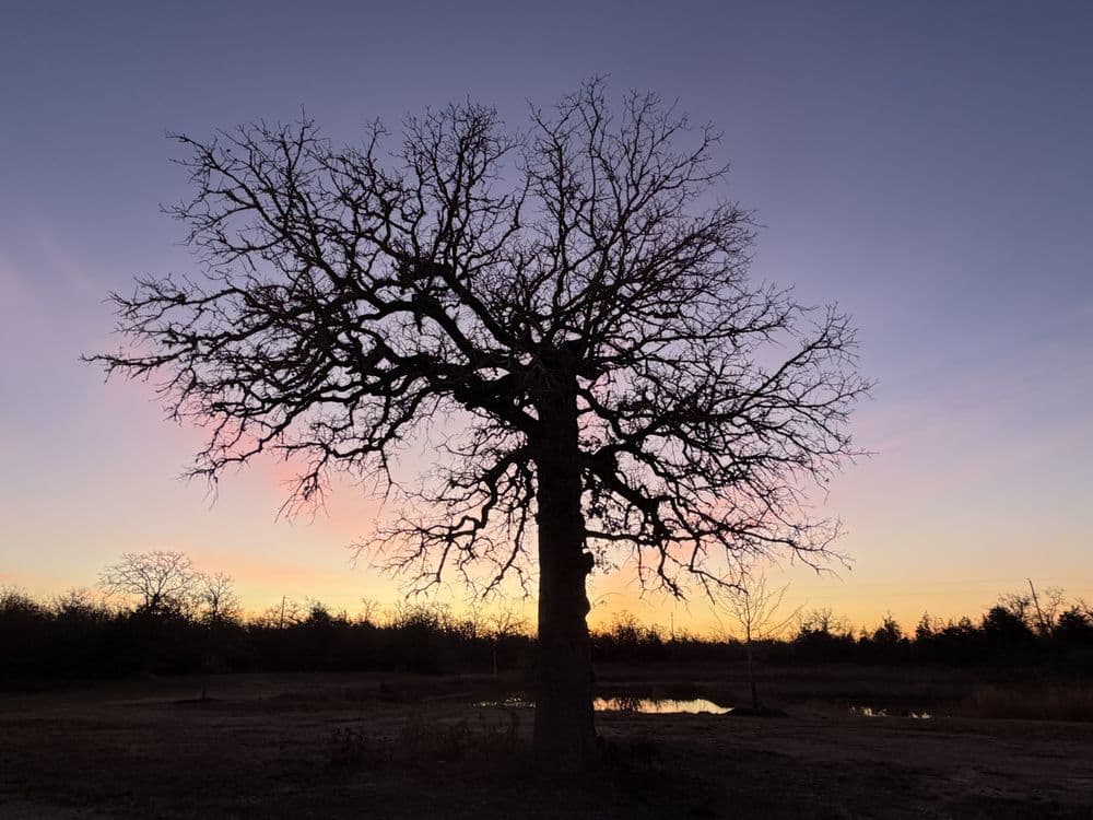 Busted Oak Cellars photo 3