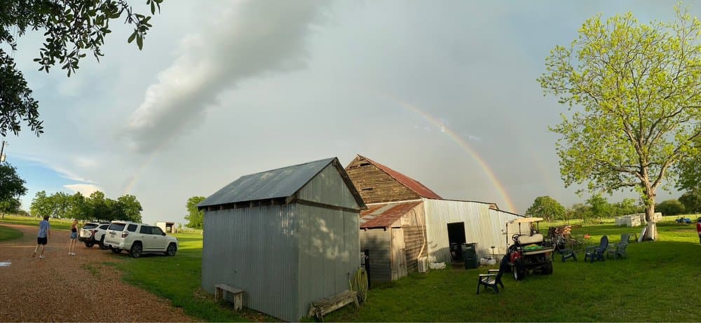 Blue Mule Winery photo 1