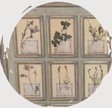 Antiquaire de France photo 2