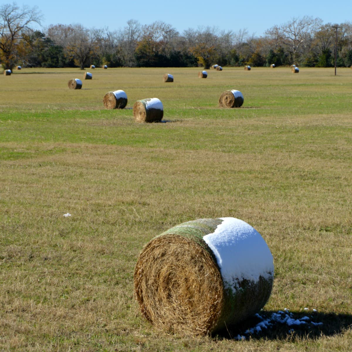 The Winter Show at Round Top: The Best-Kept Secret on the Antique Trail