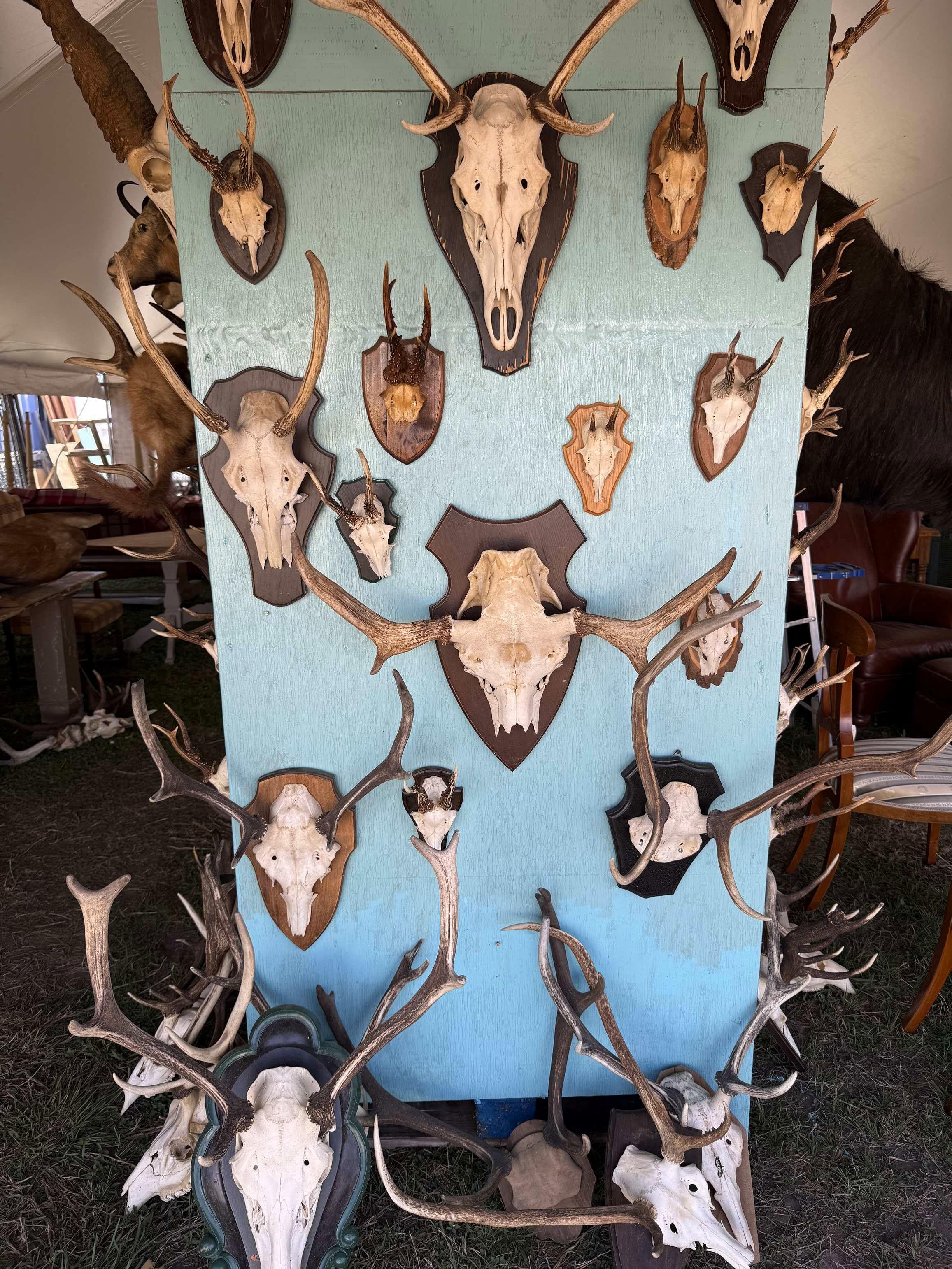 The Stories Behind the Treasures: What Round Top Vendors Wish You'd Ask