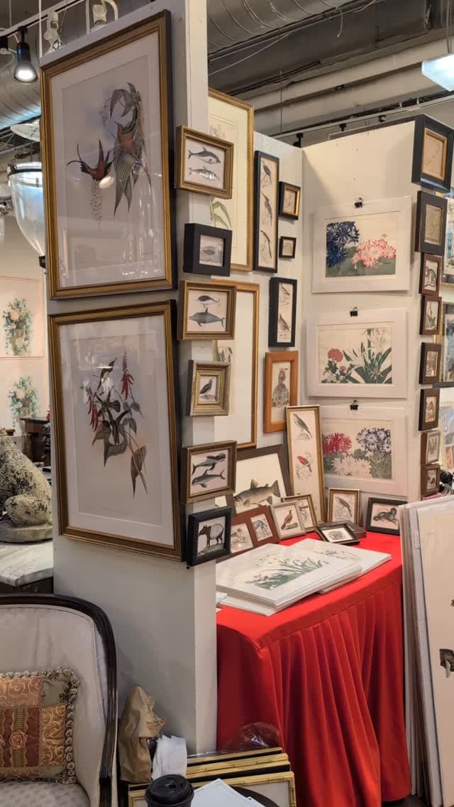 McDonough Fine Art