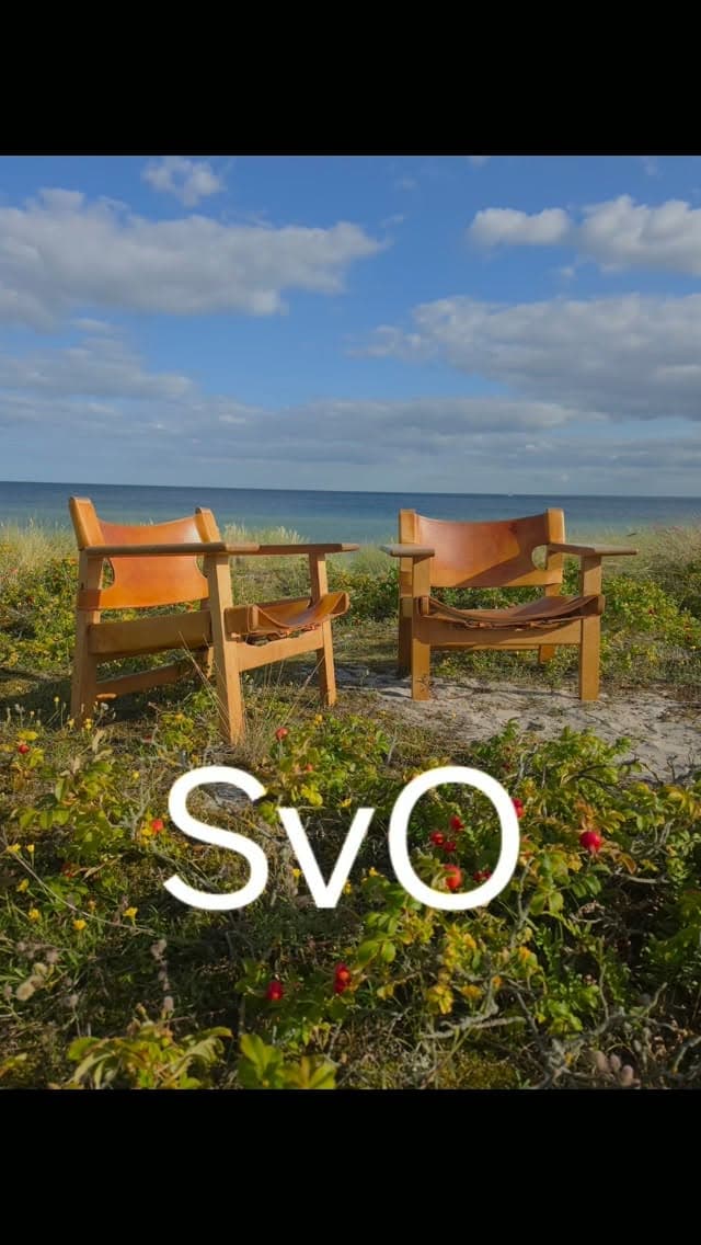 SVO photo 3