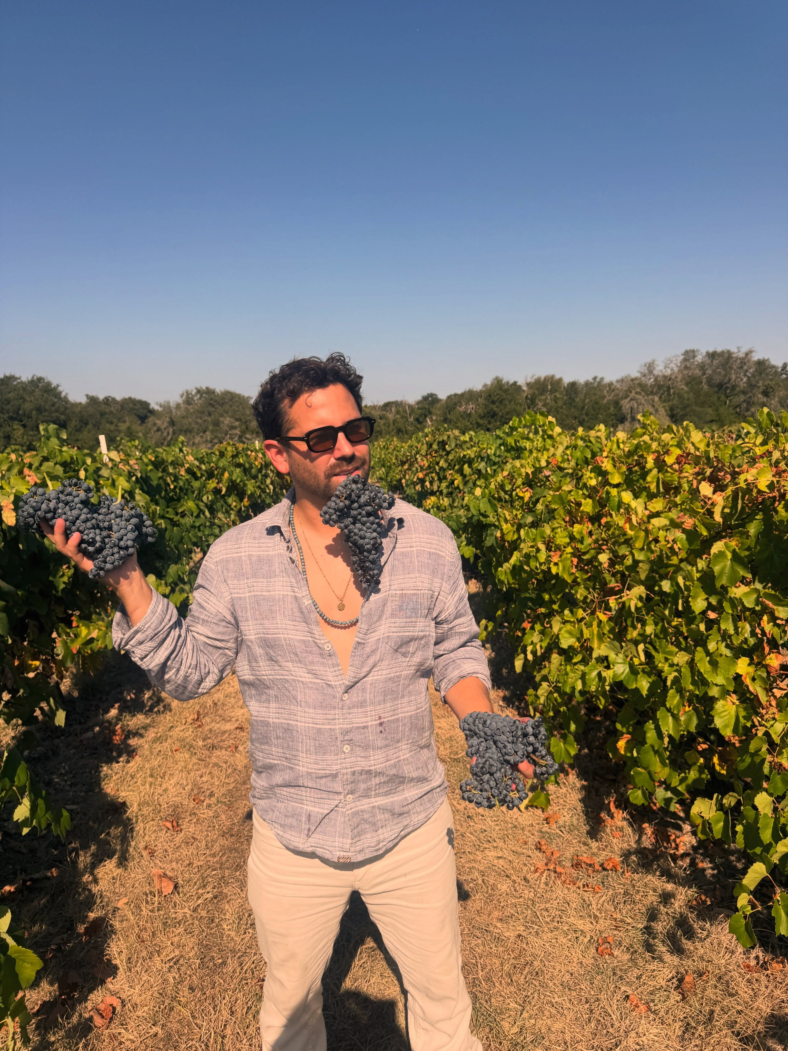 Soto Vino