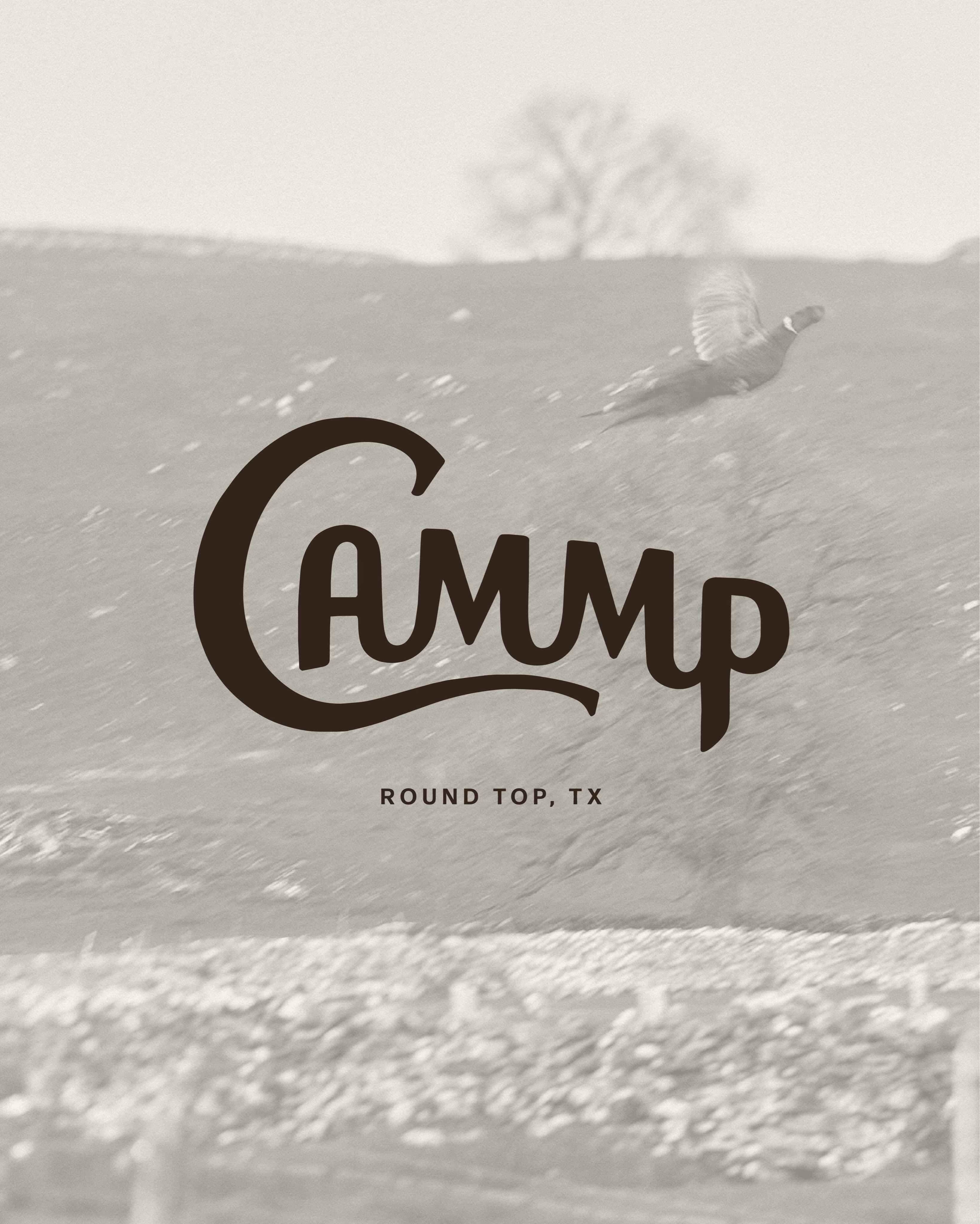 CAMMP