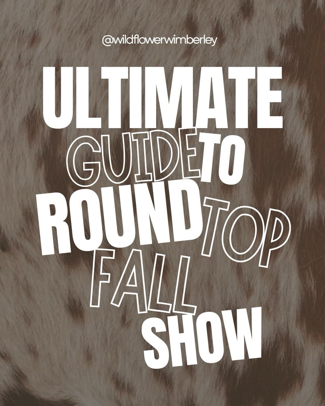 Wildflower Wimberley Boutique photo 2