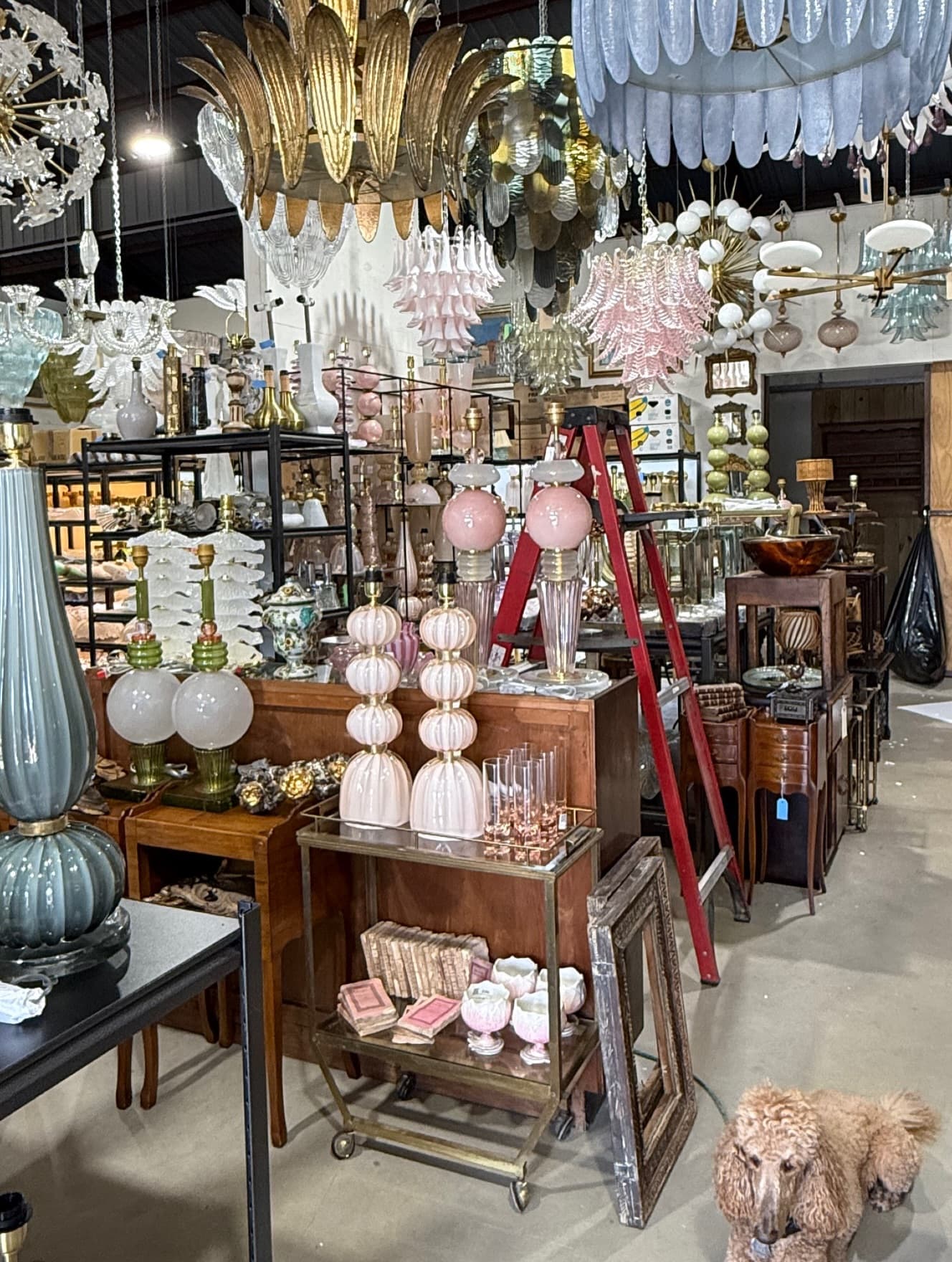 Sourced by Janet Wiebe photo 2