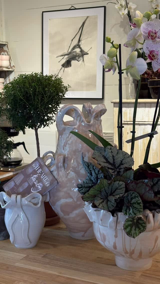 Rabbit Rabbit photo 3