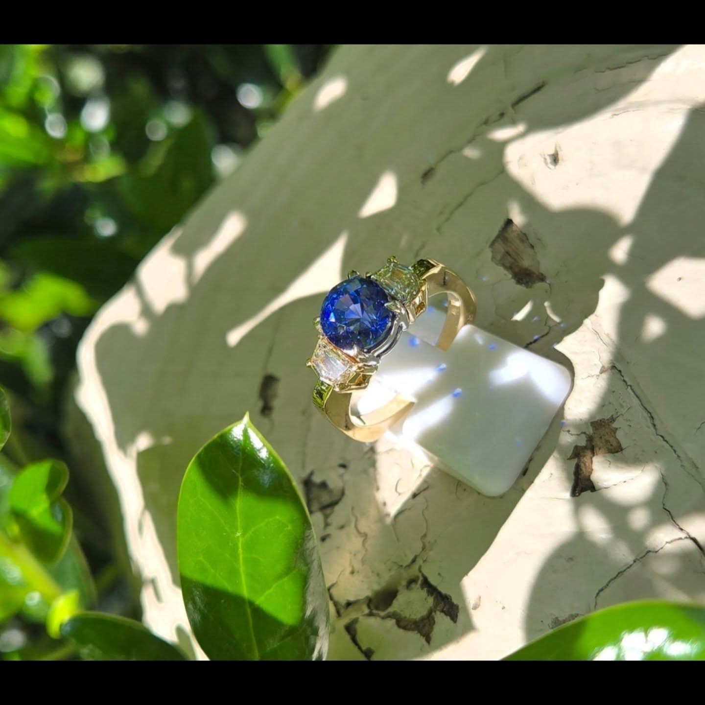 David Meelheim Designs photo 2