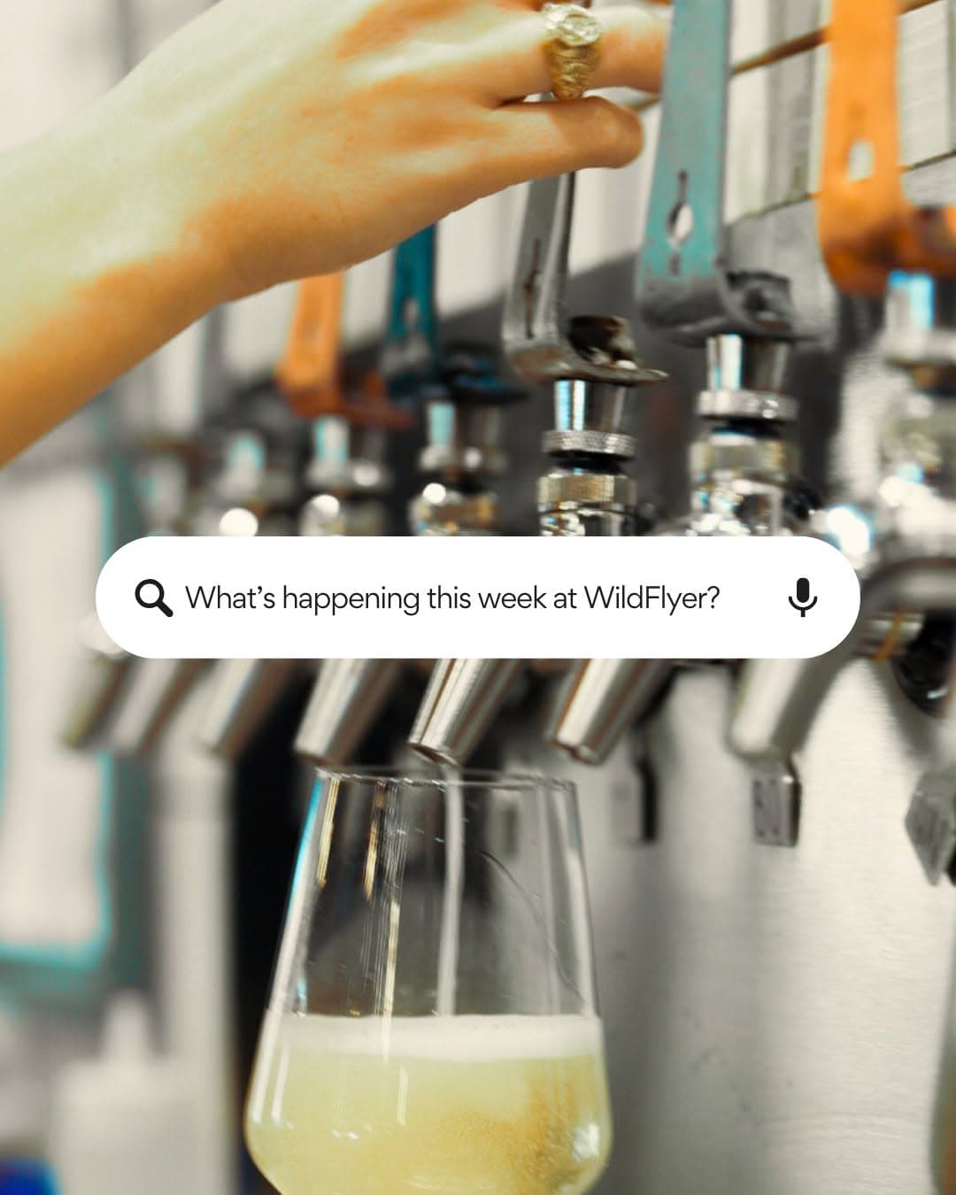 Wildflyer Mead Co.