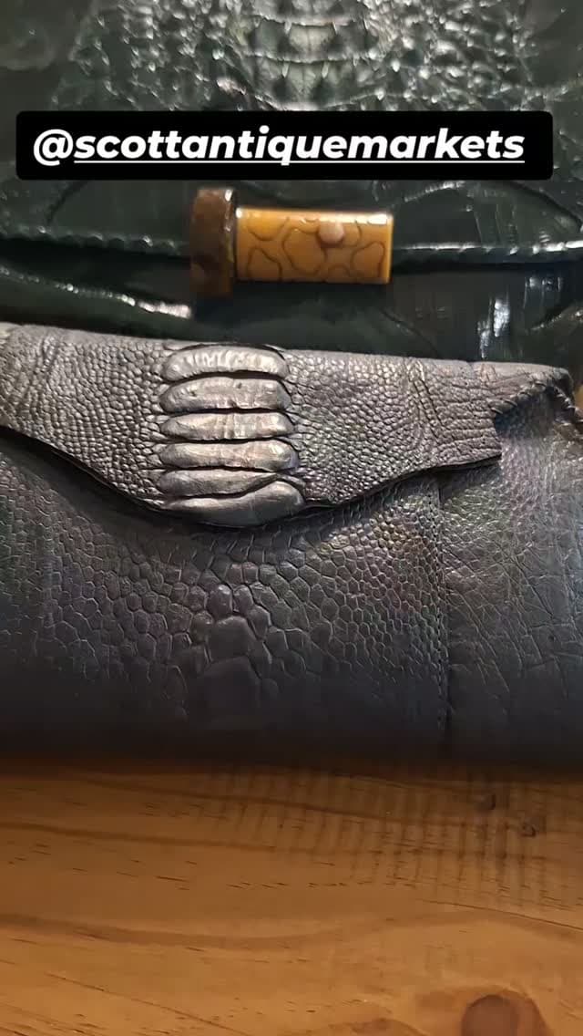 The Purse Lady