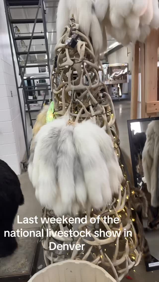 Midwest Taxidermy photo 2