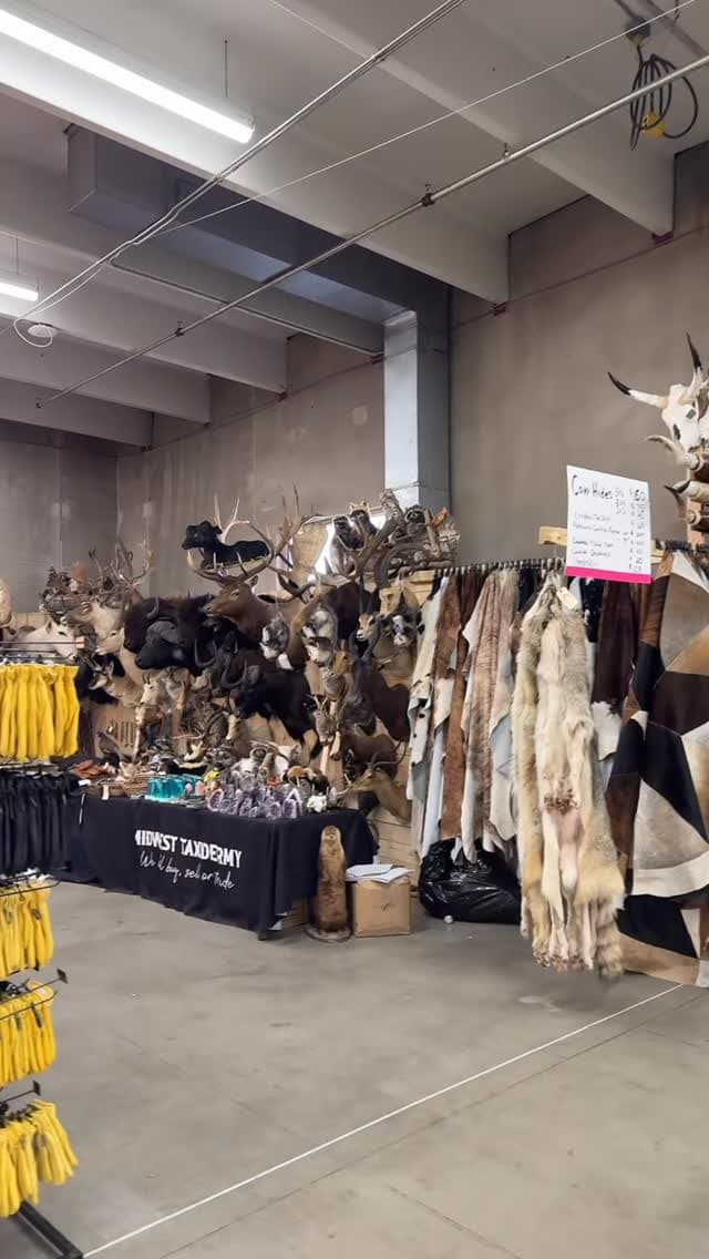 Midwest Taxidermy photo 3