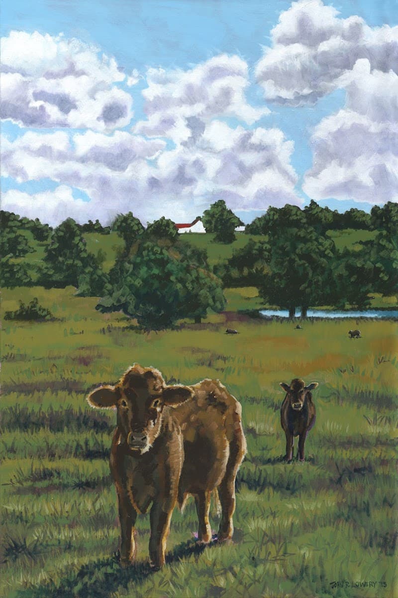 The Humble Donkey Studio